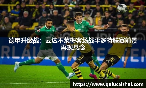 BB贝博登录入口