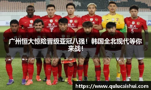 BB贝博登录入口