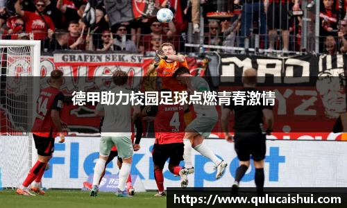 BB贝博登录入口