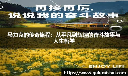 BB贝博登录入口