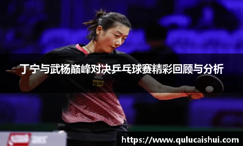 BB贝博登录入口