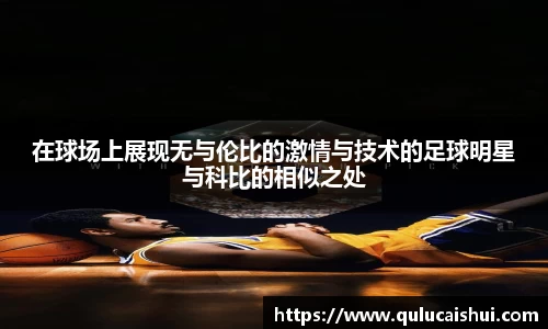 BB贝博登录入口