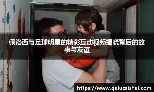 BB贝博登录入口