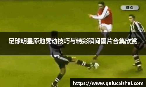 BB贝博登录入口